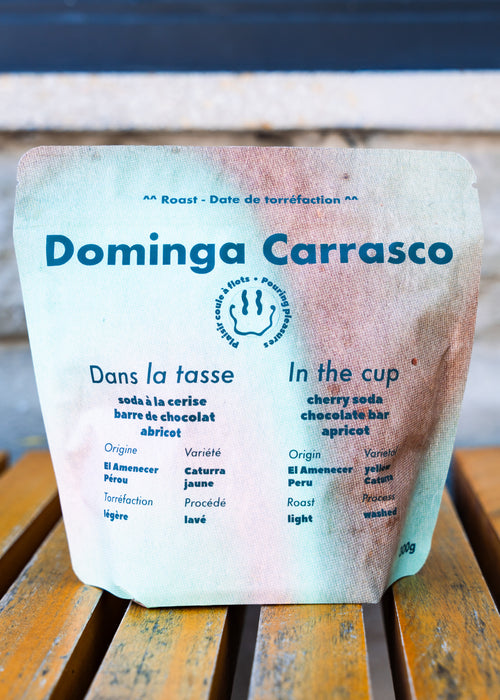 Dominga Carrasco